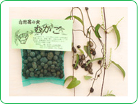 自然薯むかご
